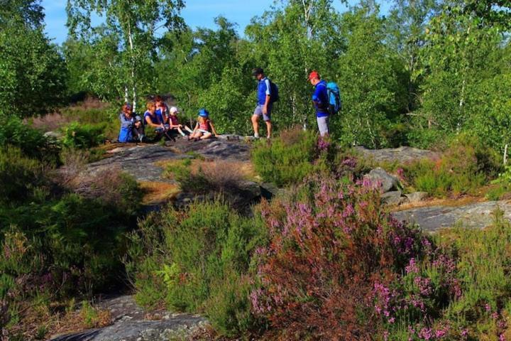 Camping Marvilla Parks -Parc Des Roches 91530 Saint-Chéron Eksteriør bilde